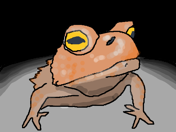 Drawing by Taco