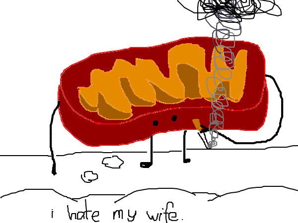 Drawing by dog goo