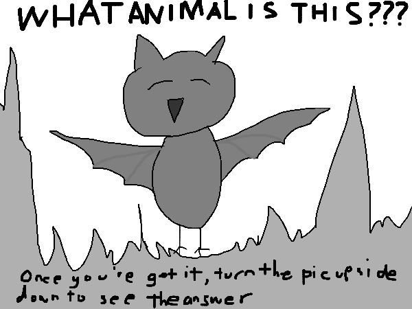 Drawing by 3dora5explorer