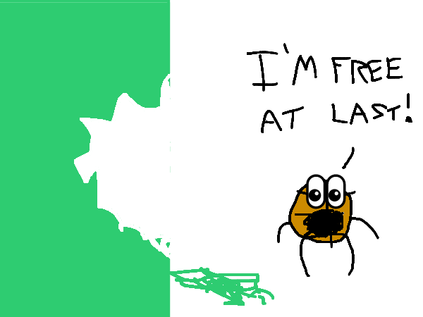 Drawing by buck