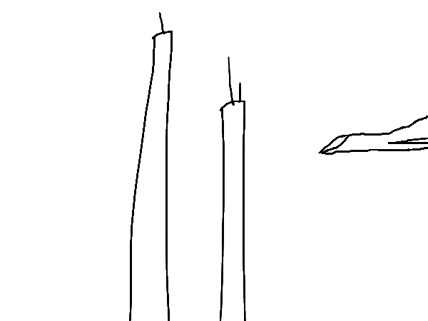 Drawing by hohoholar