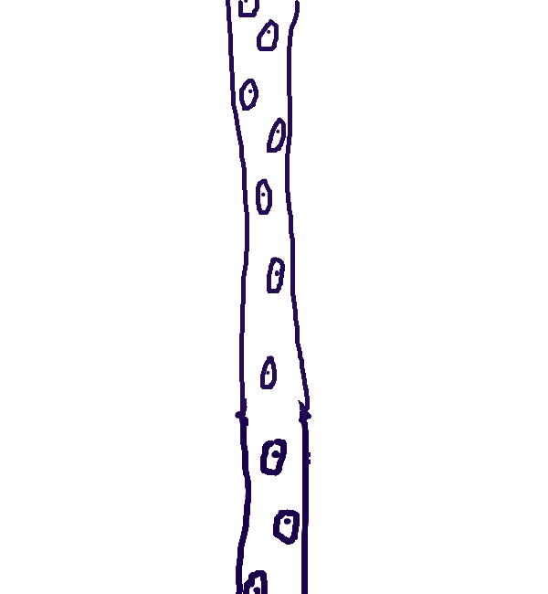 Drawing by basilicon (canyon)
