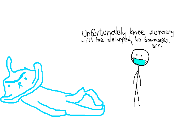 Drawing by pickle click