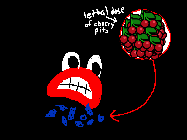 Drawing by vegetaroodle