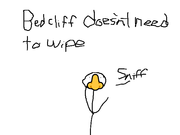 Drawing by polar