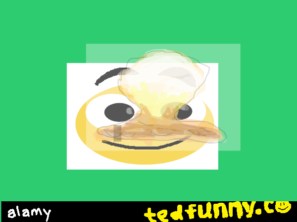 Drawing by tedarin
