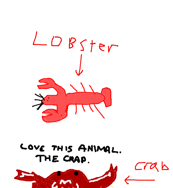 Drawing by pacman