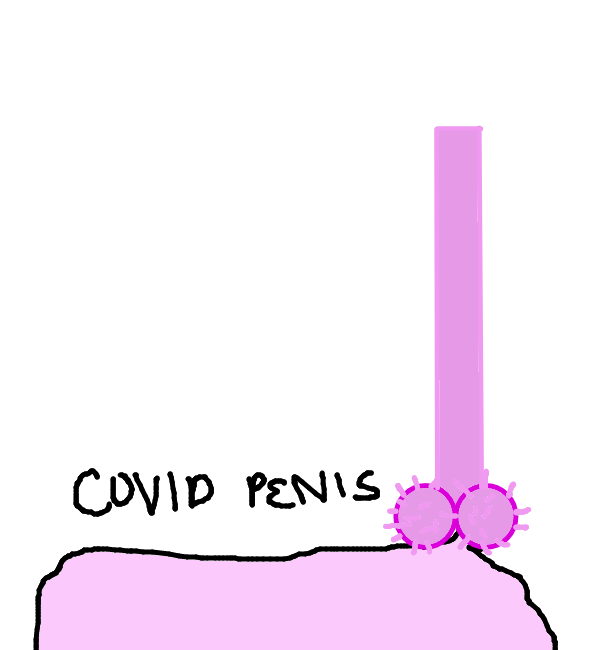 Drawing by Polar